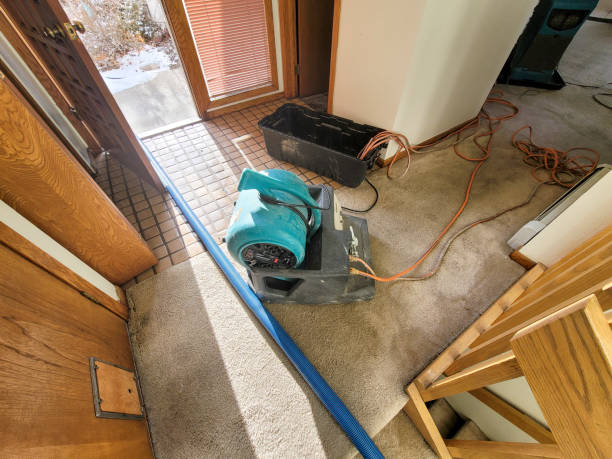 Best Water damage restoration near me  in Dayton, OH