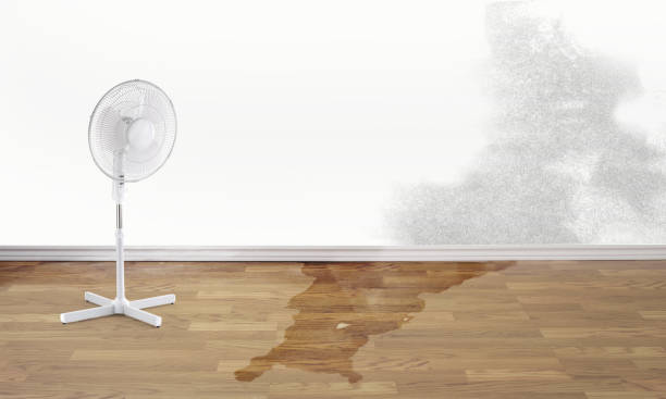 Best Basement water damage restoration  in Dayton, OH