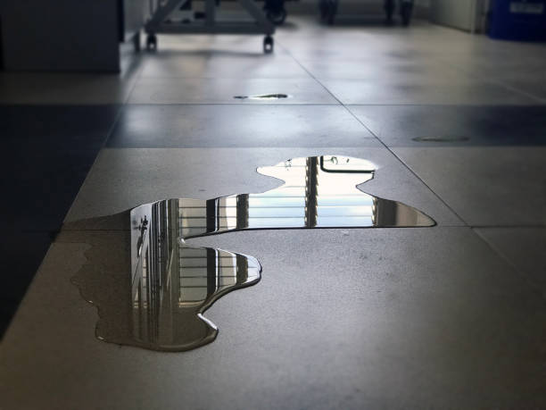 Best Water damage repair service  in Dayton, OH