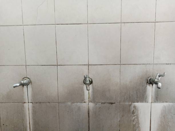 Best Mold removal after water damage  in Dayton, OH