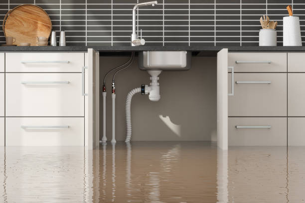 Best Water damage cleanup near me  in Dayton, OH