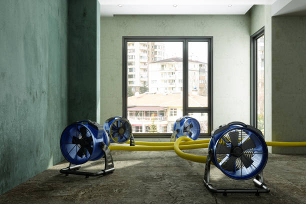Best Fire Damage Restoration  in Dayton, OH